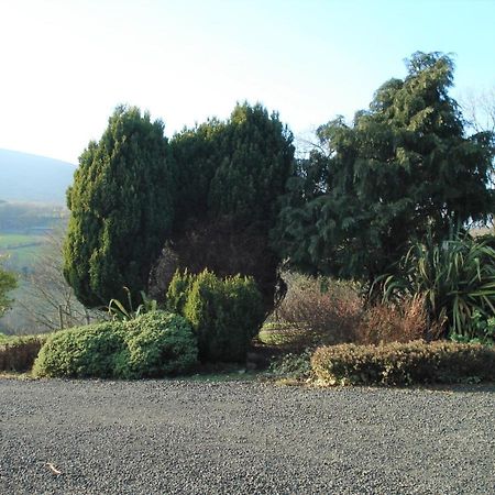 Ballycastle Glenview House 4 Bedrooms In The Glens Of Antrim Eksteriør billede